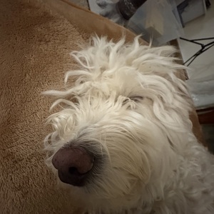 Fundraising Page: Christina Menapace